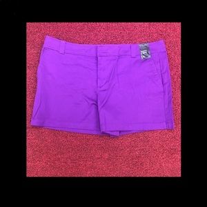 NY&CO size 14 purple shorts “Hampton”